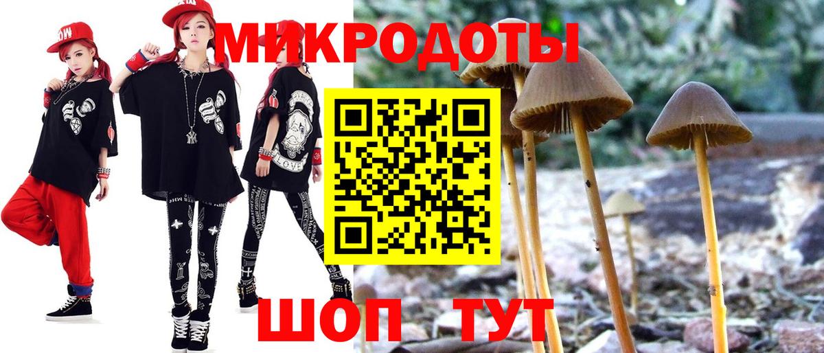 Галлюциногенные грибы Psilocybine cubensis  Галлюциногенные грибы GOLDEN TEACHER  Майкоп  Вход с VPN 